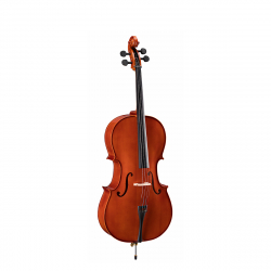 Vsce-14 Violoncello...