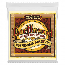 2065 Earthwood Mandolin...