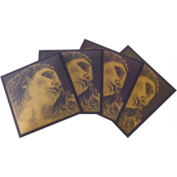 Set Viola Evah Pirazzi Gold...