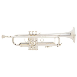 180s-37 Stradivarius Tromba...