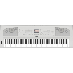 Dgx670wh