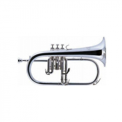 Fg550s Flicorno Soprano...
