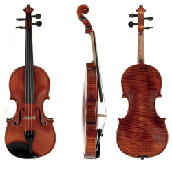 Gs400650100 Violino Da...