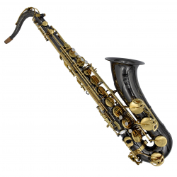 5040bgsuper Sax Tenore...