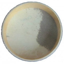 Ocean Drum - C3015341