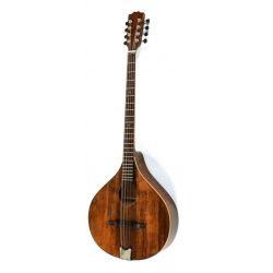 Bouzouki Irlandese Pro Arte...
