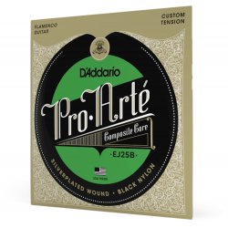 EJ25B Corde per chitarra...