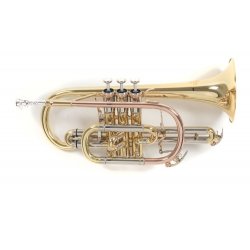CR-302 CORNETTA SIB LACCATA