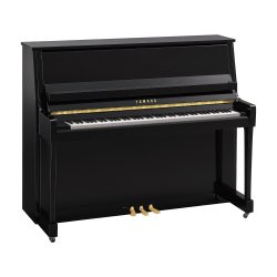 B30 PE