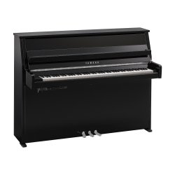 B10 TC3 PEC