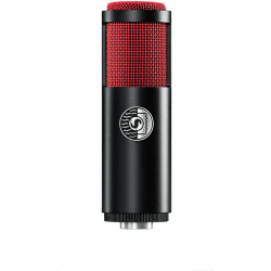 Ksm313/Ne